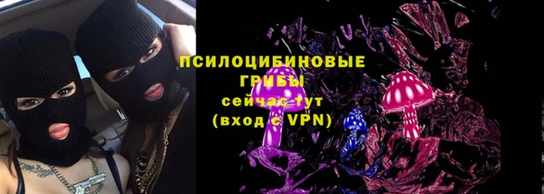 молекула духа Верея