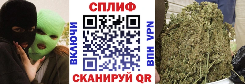 Каннабис план Петров Вал